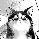 darling littol mochi 🪼さんのプロフィール画像