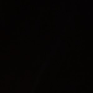 cnftmemess's profile picture. 