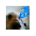 秋山義直 (@shinashimania) Twitter profile photo 秋山義直 (@shinashimania) Twitter profile photo