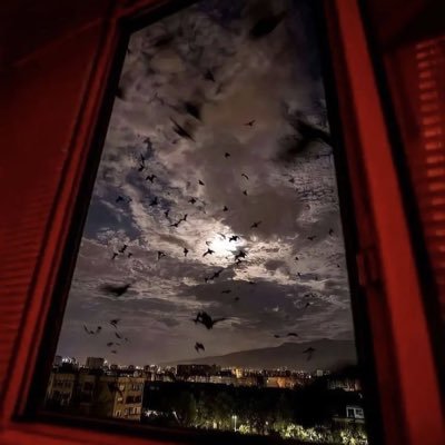 Afnan0s's profile picture. طالبة معلوماتية صحية | عضو @PHHI_HC