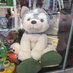 Best of Charity Shops (@bestofcharity24) Twitter profile photo Best of Charity Shops (@bestofcharity24) Twitter profile photo
