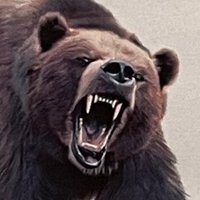 ママなる大地 (@pica_yune) 's Twitter Profile Photo