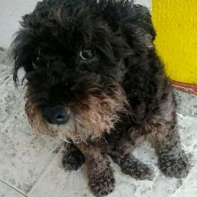 JuanToro8a1965's profile picture. 