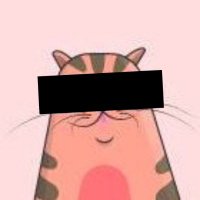 Kit 🔺🛡️ mrkit2u.avax (@mrkit2u) 's Twitter Profile