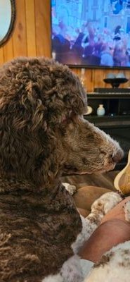 robert196560's profile picture. 