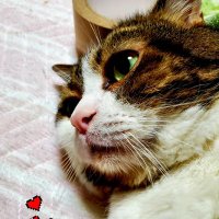 春 優季 (@k5tzdn5877tcmog) 's Twitter Profile