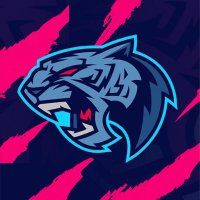 Selwo e-Sports 🇪🇸 (@selwoesports) 's Twitter Profile