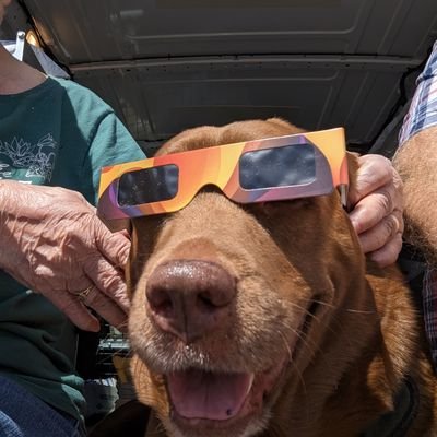 Rich_Vandall's profile picture. no.