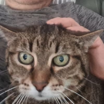 patrick_dup's profile picture. 