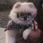 FreeTexan🇺🇸 (@retiredsam5) 's Twitter Profile