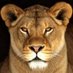 LyaNess_Vixen (@lyaness_vixen) Twitter profile photo LyaNess_Vixen (@lyaness_vixen) Twitter profile photo