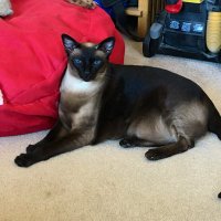 DoubleH (@techexechh) 's Twitter Profile