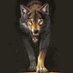 Dennis Holzschuh (@ddhwolfpack) Twitter profile photo Dennis Holzschuh (@ddhwolfpack) Twitter profile photo