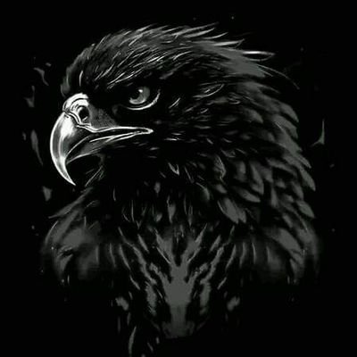 walyahmed7's profile picture. فنى ميكانيكى أليات ثقيله
 Technician mechanics