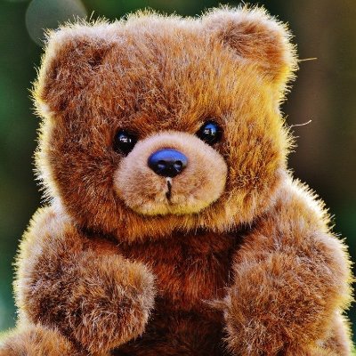 BearInDistress's profile picture. Ik zit op bluesky. Toedeloo.