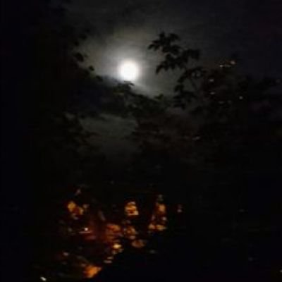 صكو علي الباب ماريد زاير
كل البشر صارولي اشباح واغراب