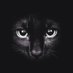 U z ay Cesur (@melih7688) Twitter profile photo U z ay Cesur (@melih7688) Twitter profile photo