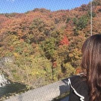 めめっち (@memetchi470530) 's Twitter Profile