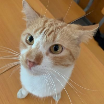 ditoOoOoo_'s profile picture. #stdytwt gatau main Twitterr🏃🏼