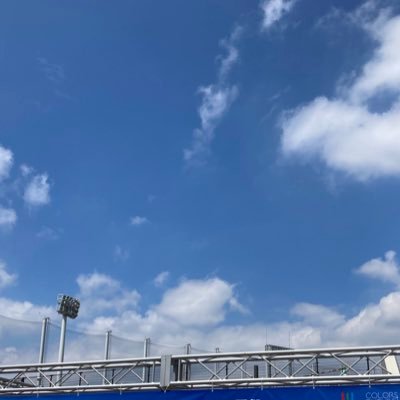 tobestknns's profile picture. 2年目