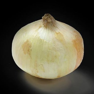 shi3273's profile picture. 人生楽しんだモノ勝ち