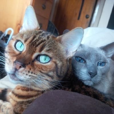 heyhill45's profile picture. hey