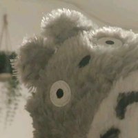 Bread (@br3adbr3adbr3ad) 's Twitter Profile