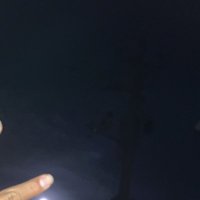 さく (@amon51277) 's Twitter Profile
