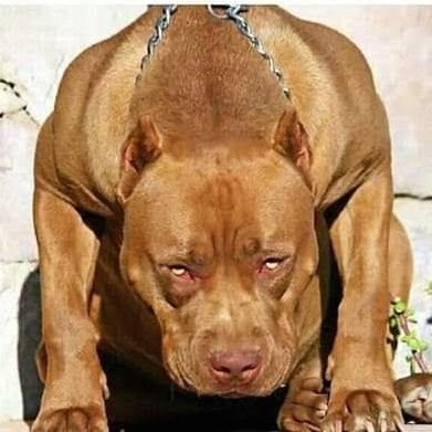 myko392365's profile picture. I love my people