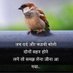 HEMANT KUMAR CHANDRA (BE Civil) (@hemantk97527011) Twitter profile photo HEMANT KUMAR CHANDRA (BE Civil) (@hemantk97527011) Twitter profile photo
