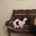 Melanie Lay - @okiemel - Twitter