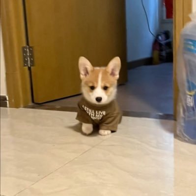 kwさんのプロフィール画像