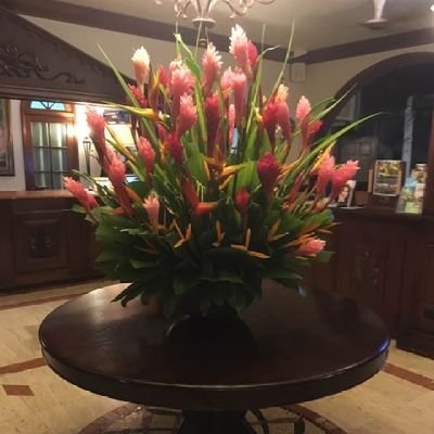 77388V's profile picture. fear what you do not understand, hate what is different and destroy ....not!