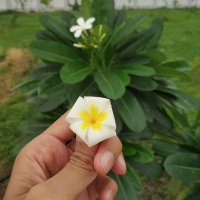 Joshi Aditi (@joshiaditi19) 's Twitter Profile