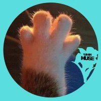 삼색냥쿠키MUSE*GOLDEN (@jjimkooki) 's Twitter Profile