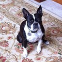 pierce thompson - @ThompsonPierce - Twitter