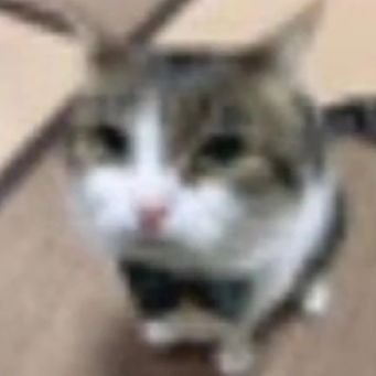 niczinwxz7_'s profile picture. Opa