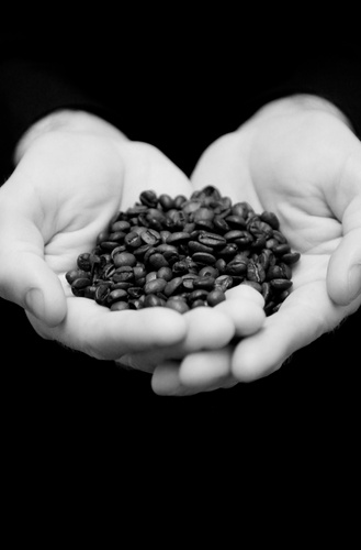 RusselledUP's profile picture. Russelled UP is a unique mobile barista service with an unparalleled passion for coffee from seed to cup.