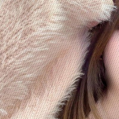 mia420865299881's profile picture. Ccup // 見せ合いしたい // かまってください
🍋 https://t.co/UeumNWc72Y