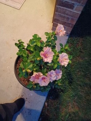 Godismysou95568's profile picture. 