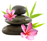 AmMellierNaturo's profile picture. 