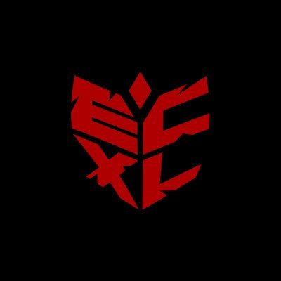 The Exclusives Profile