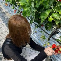 はすみ (@hasumi253125) 's Twitter Profile