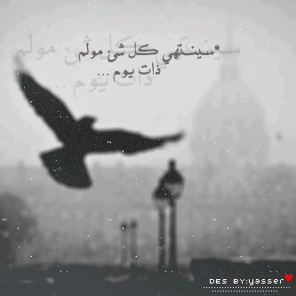 Mrwita's profile picture. 