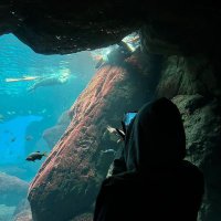 jack sparrow (@14jacksparrow) 's Twitter Profile