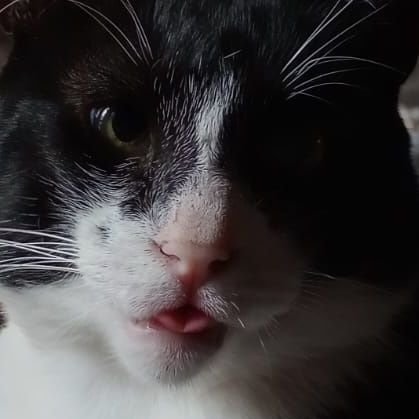 MdLcatarina's profile picture. 