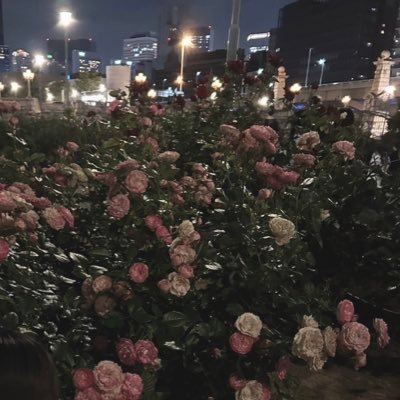 ks__0926's profile picture. 