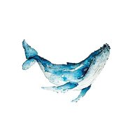 Standard Whale 🐋 (@standardwhale_) 's Twitter Profile Photo Standard Whale 🐋 (@standardwhale_) 's Twitter Profile Photo