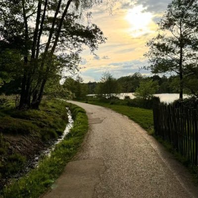 M142880's profile picture. 