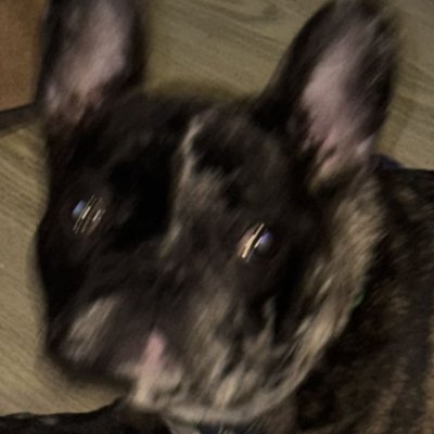 TitoCoinSol's profile picture. @fouadayary is my stake id.
One day i will start streaming..